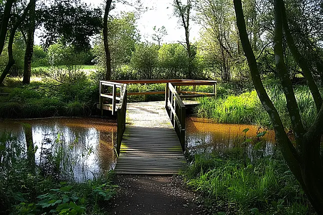 Leisure Activities in Flitwick