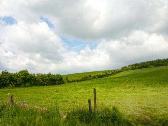 Cranfield farmland view