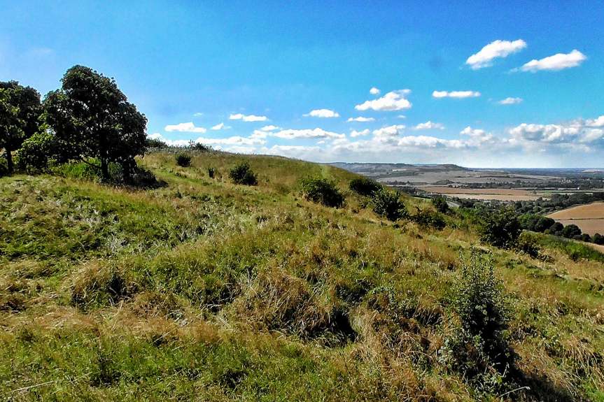 Potton countryside view